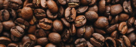 Exploring the World of Coffee Beans